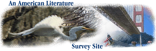 American Literature Survey Site